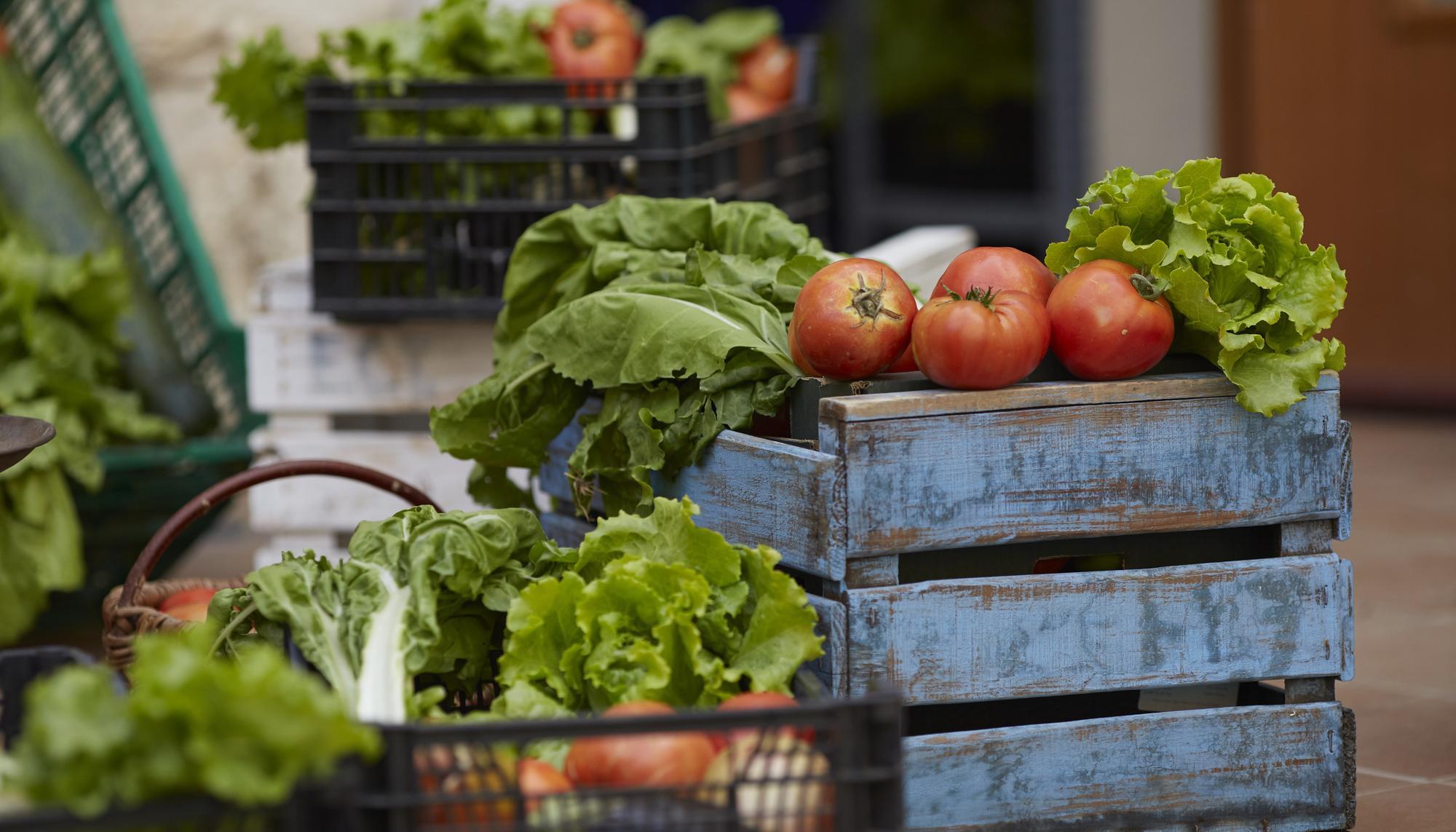 Cesta de reparto de verduras